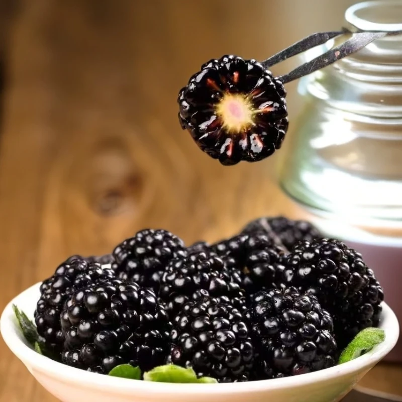 云南黑莓 新鲜水果应季时令饱满爽口稀有孕妇水果