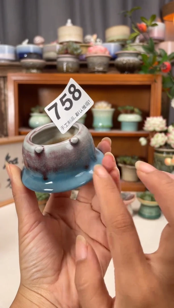 瓷片758知木小芳花盆直播编号