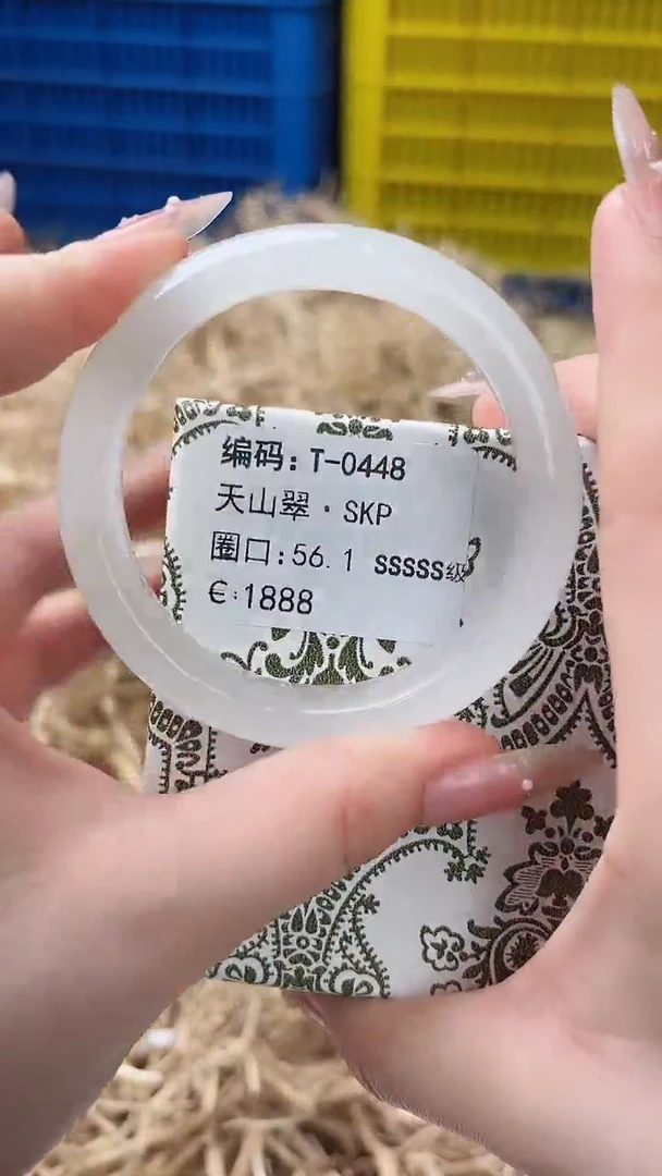 未镶嵌手镯石英质玉T-0448