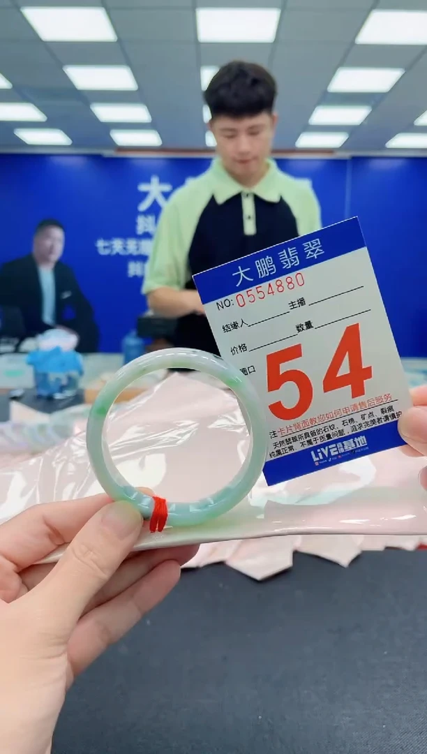 未镶嵌手镯翡翠AAAAAAAAA
