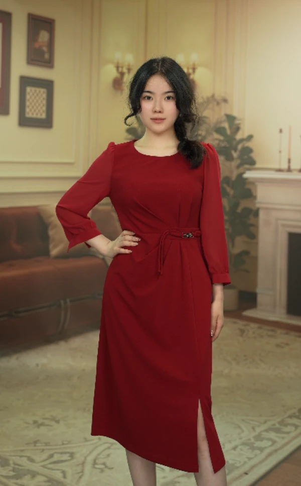 5018通勤高腰秋季裙子褶皱长袖婚礼服显瘦连衣裙中长裙
