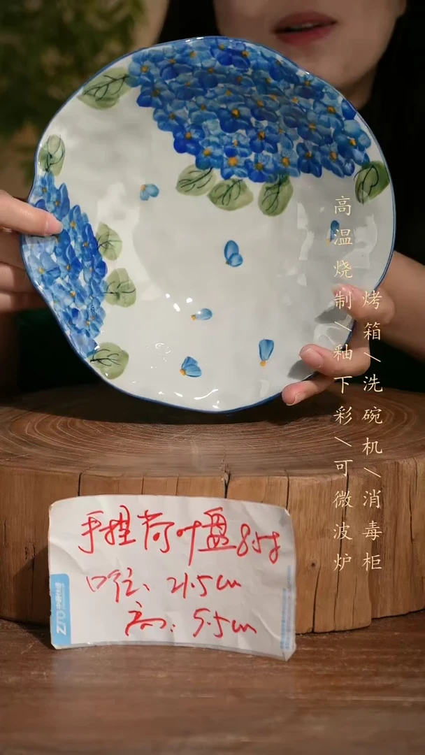 碗瓷景德镇手工手绘釉下彩高温瓷