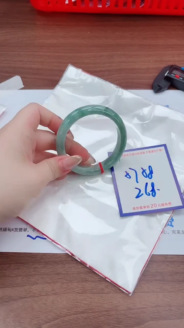未镶嵌手镯翡翠11111111