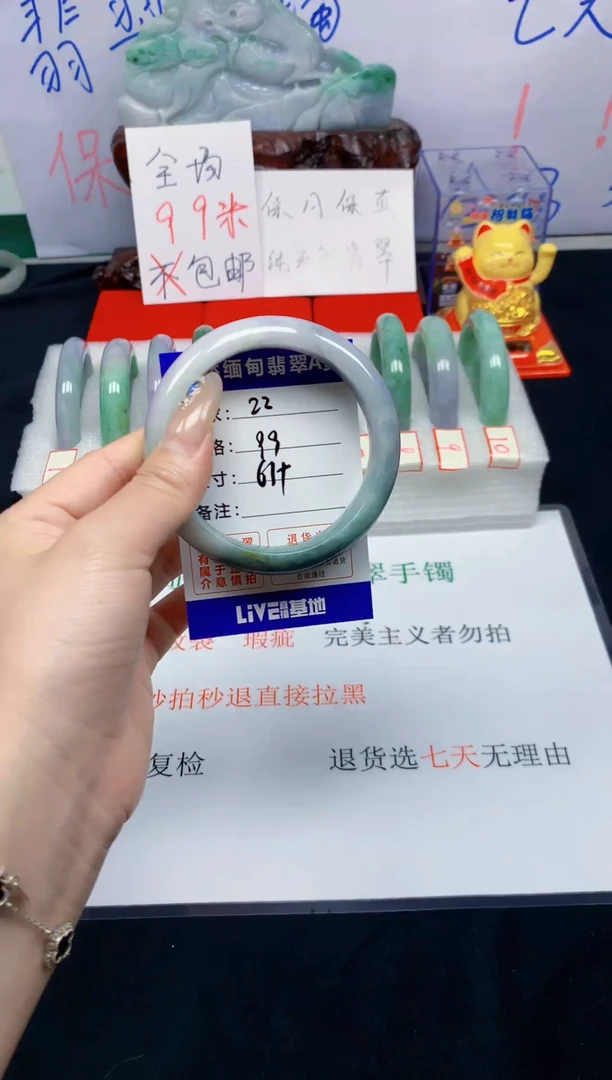 未镶嵌手镯翡翠22