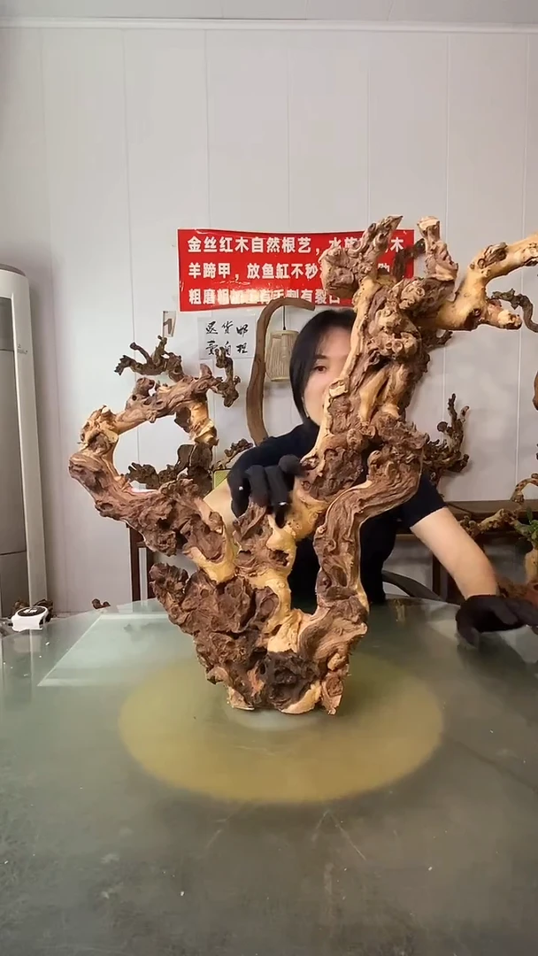 香榧木时**约金丝红木 羊蹄甲