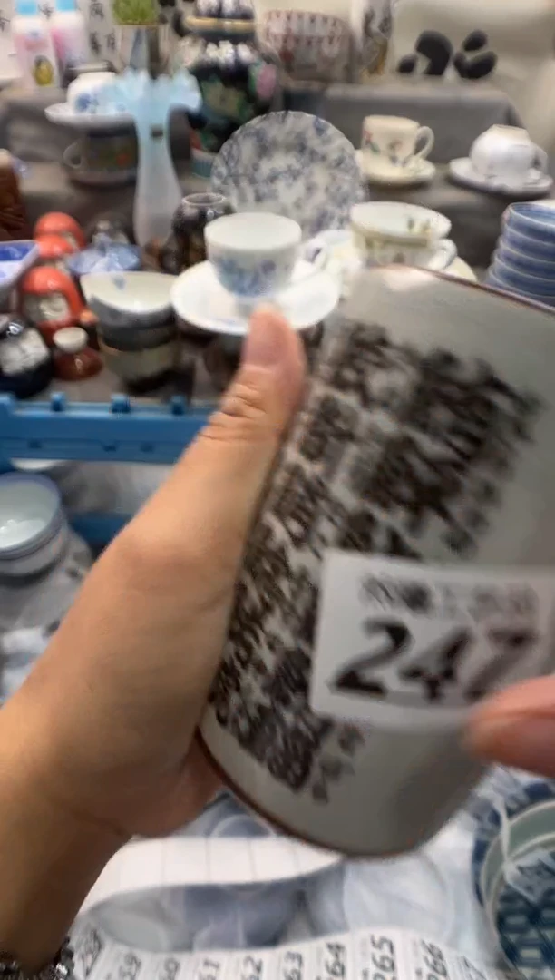 瓷片虫*247