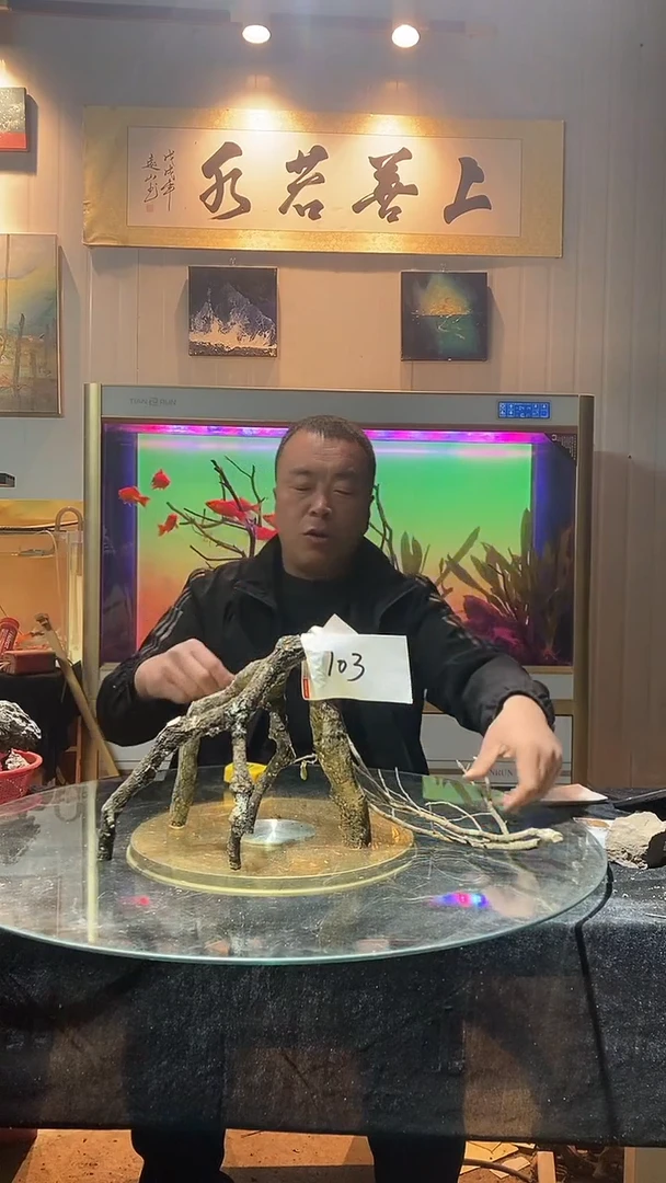 103号天然黄栎木1组