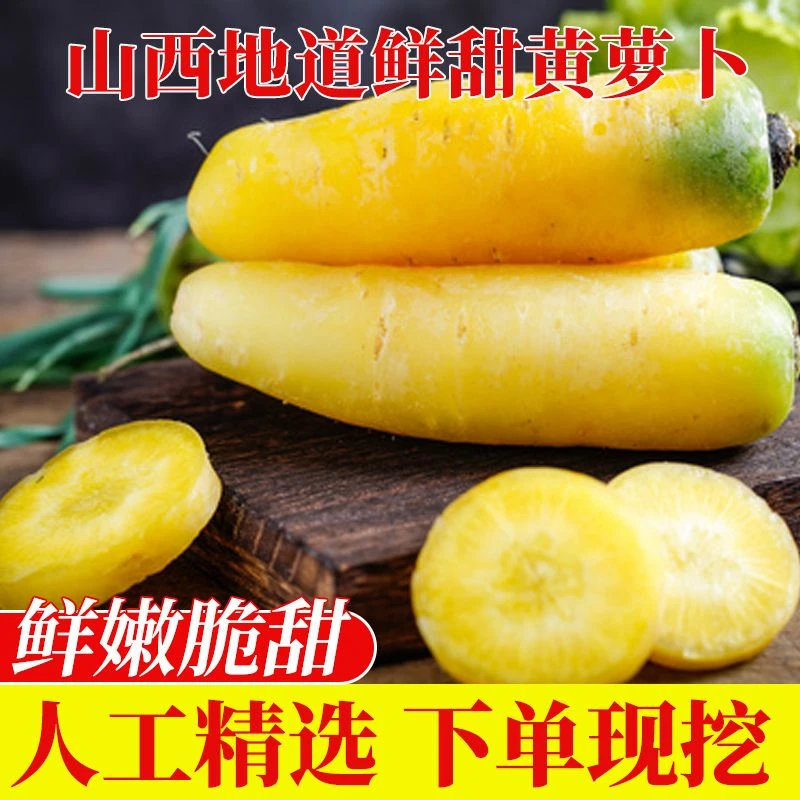 山西运城黄萝卜新鲜胡萝卜手抓饭萝卜农家时令当季蔬菜整箱包邮 L