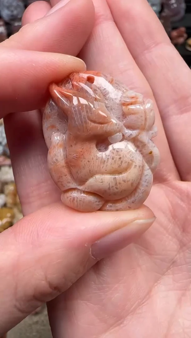 颈饰未镶嵌硅化珊瑚（珊瑚玉）195