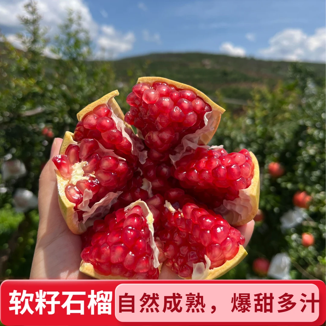 四川会理软籽石榴当季新鲜鲜甜多汁