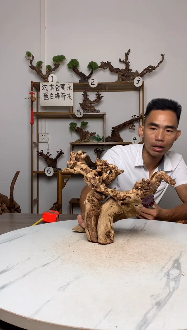 K****爸鱼缸造景沉木摆件