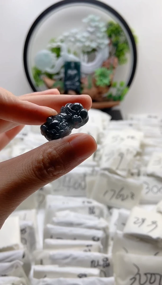 翡翠未镶嵌颈饰貔貅【品质一般能接受再拍】