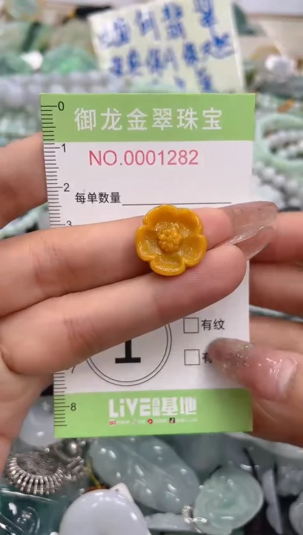 颈饰未镶嵌翡翠030