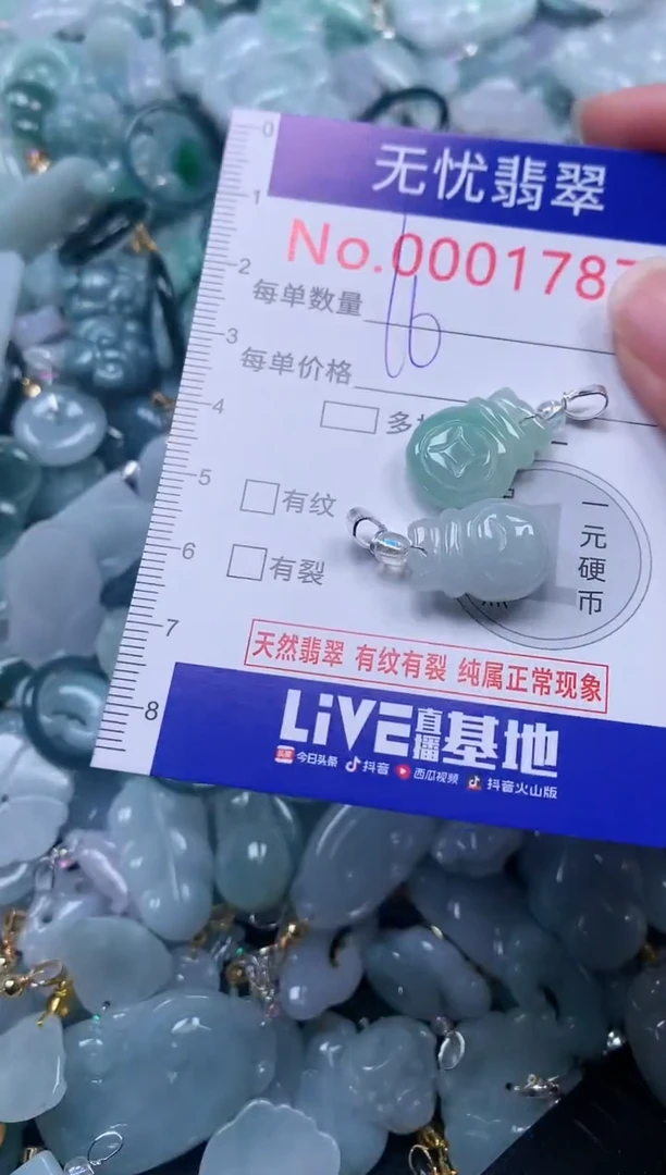 颈饰未镶嵌翡翠1787