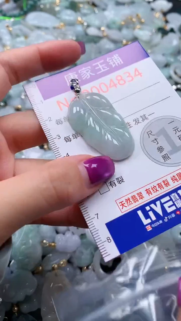 颈饰未镶嵌翡翠4834