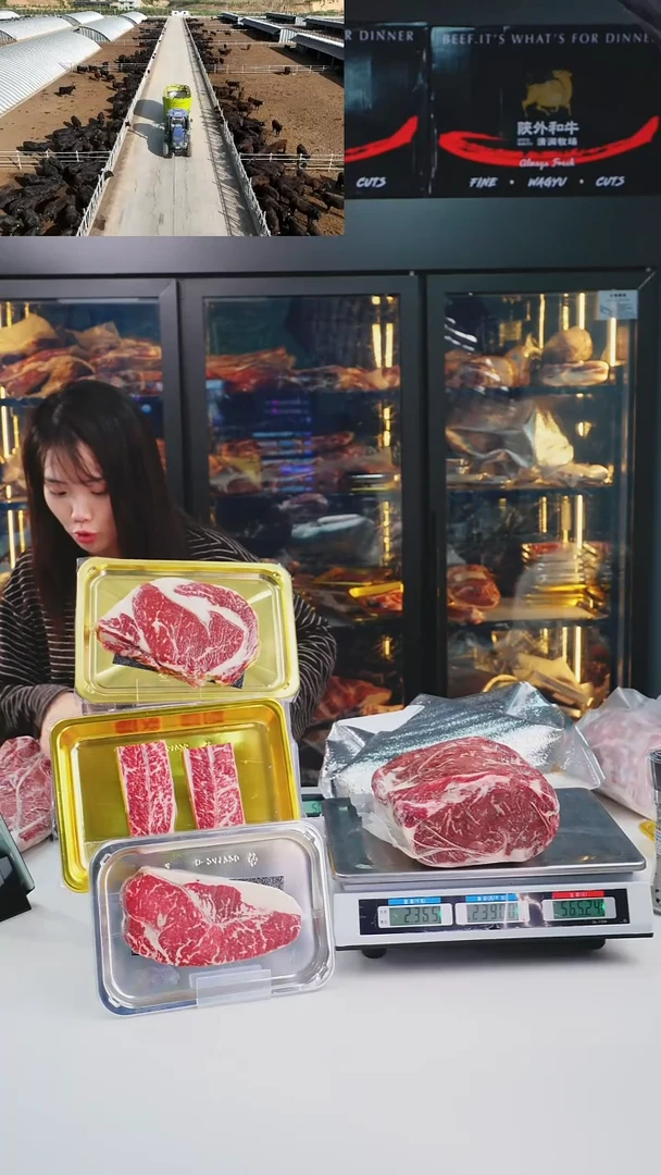 24个月中国大陆A1西冷2.36KG