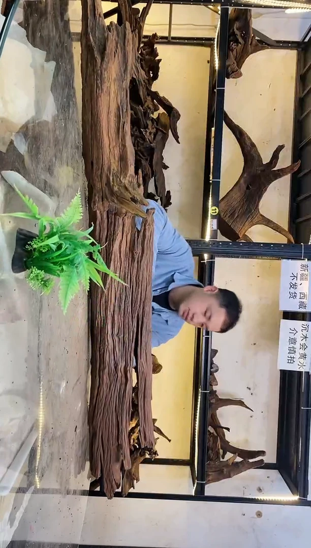 【闪购商品】柚木木艺022鱼缸造景沉木