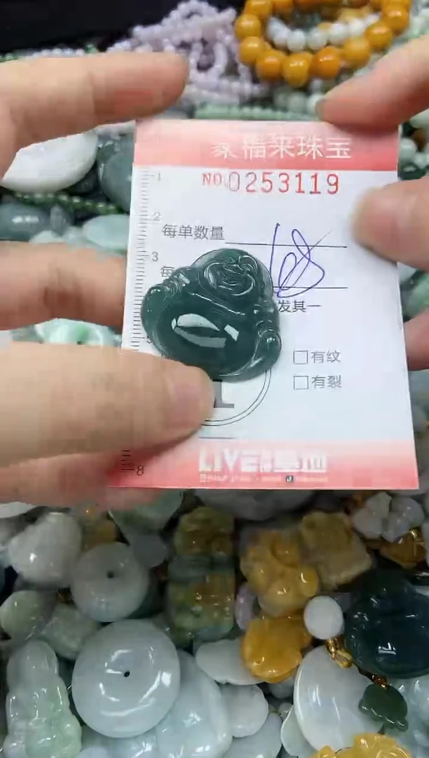 未镶嵌挂件翡翠闪购0253119