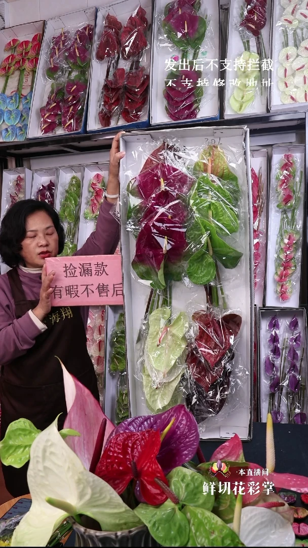 301混色16枝(长35-45cm横冠幅12-15cm)有瑕福利不退不换不售后