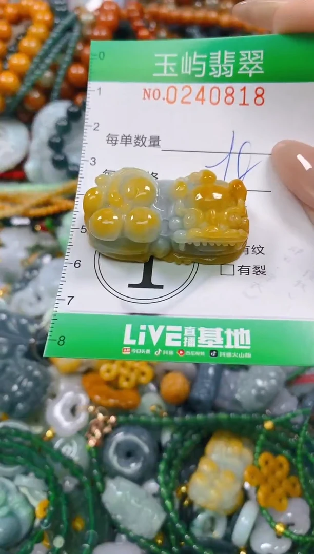 颈饰未镶嵌翡翠闪购0240818