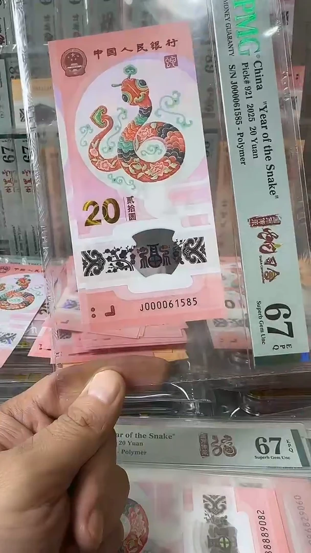 塑料000061585-蛇钞单张