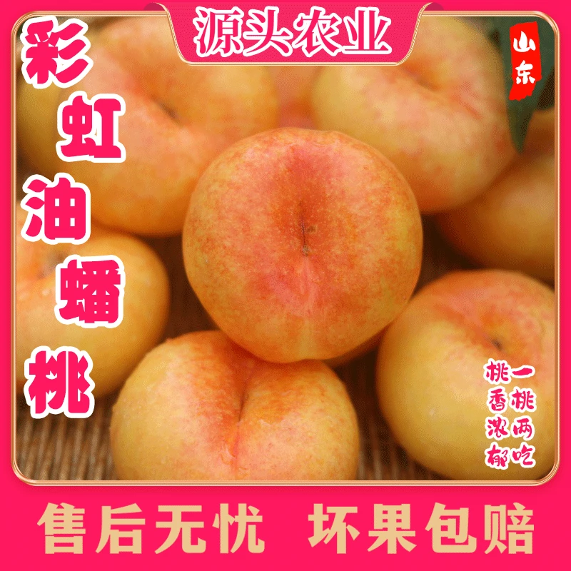 【彩虹油蟠桃】山东彩虹油蟠桃新鲜应季水果香甜多汁3斤装 S
