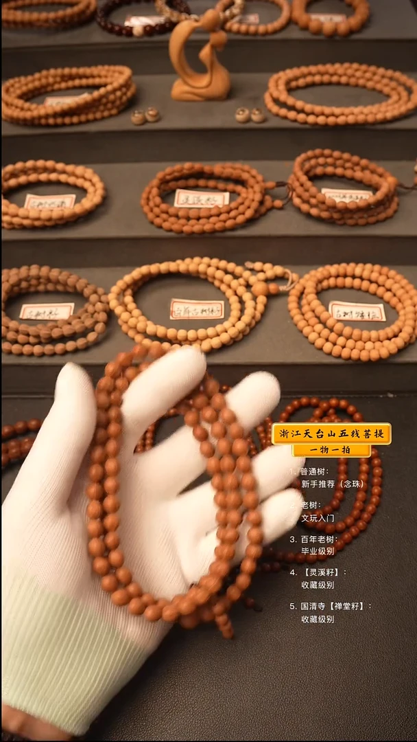 吊坠五线菩提灰*脖挂