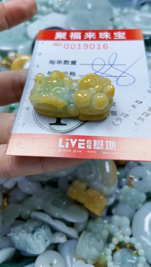 【闪购商品】翡翠颈饰未镶嵌闪购0019016