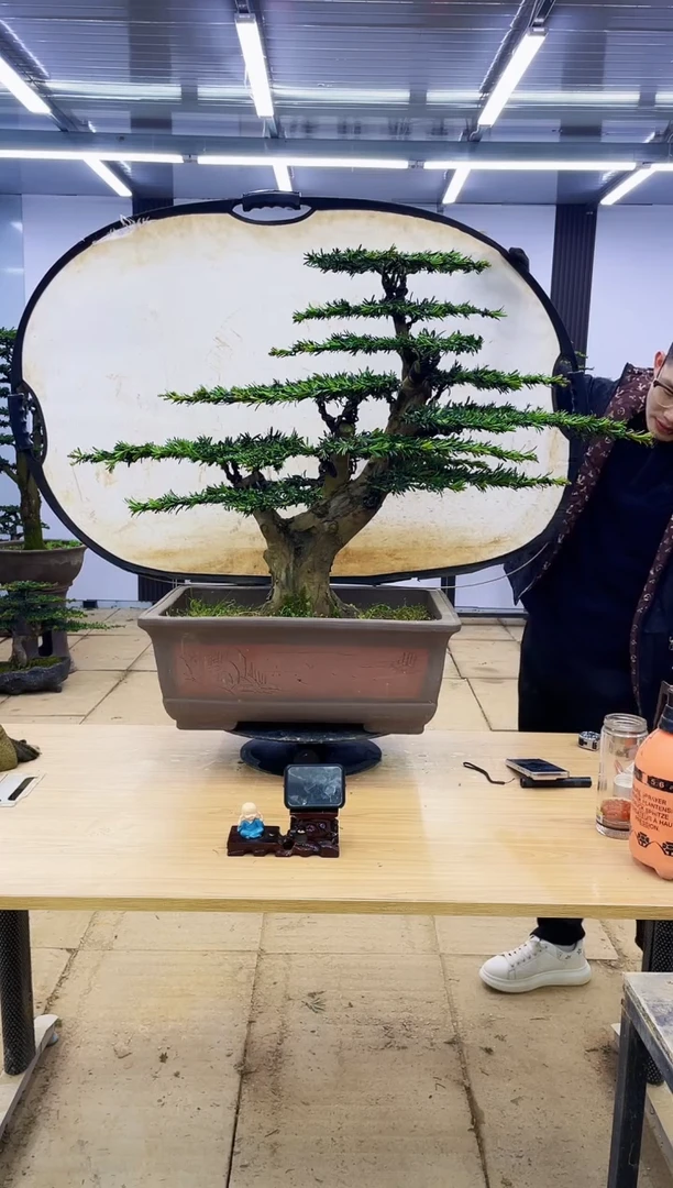 【闪购商品】00000000