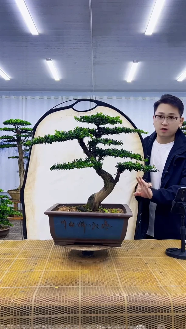 本****己000000000000000