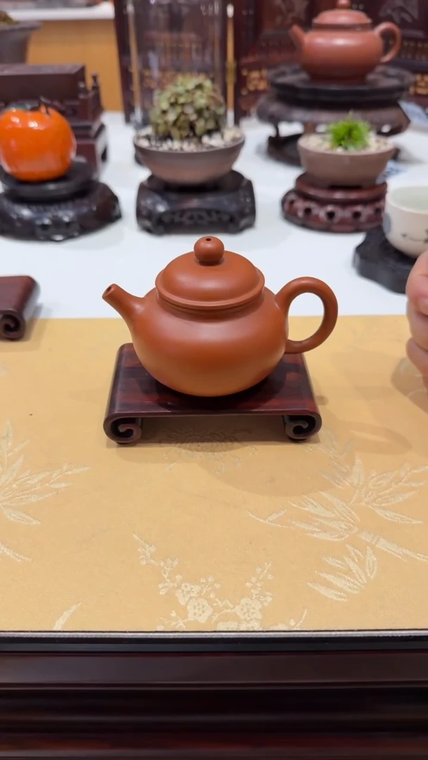 1紫砂紫砂紫砂紫砂紫砂