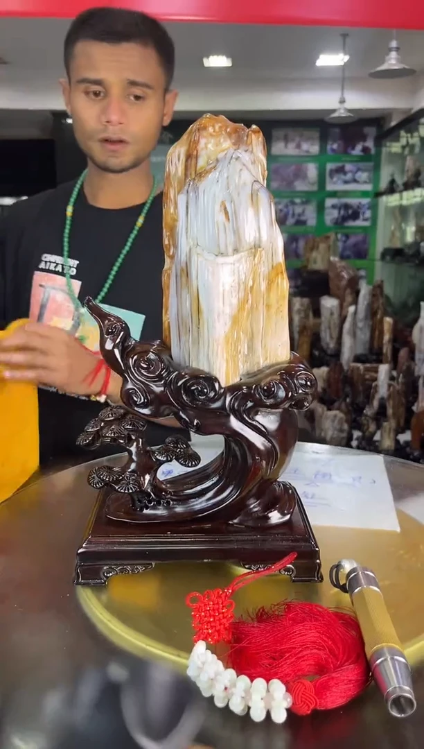 未镶嵌珠宝奇石硅化玉缅甸天然树化玉精品摆件
