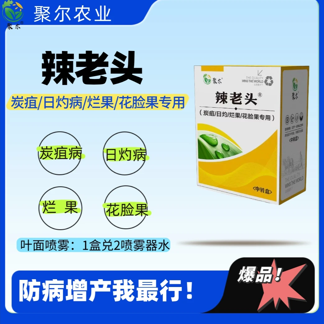 辣老头炭疽日灼烂果专用叶面肥