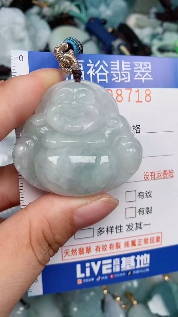 翡翠未镶嵌颈饰...0008718