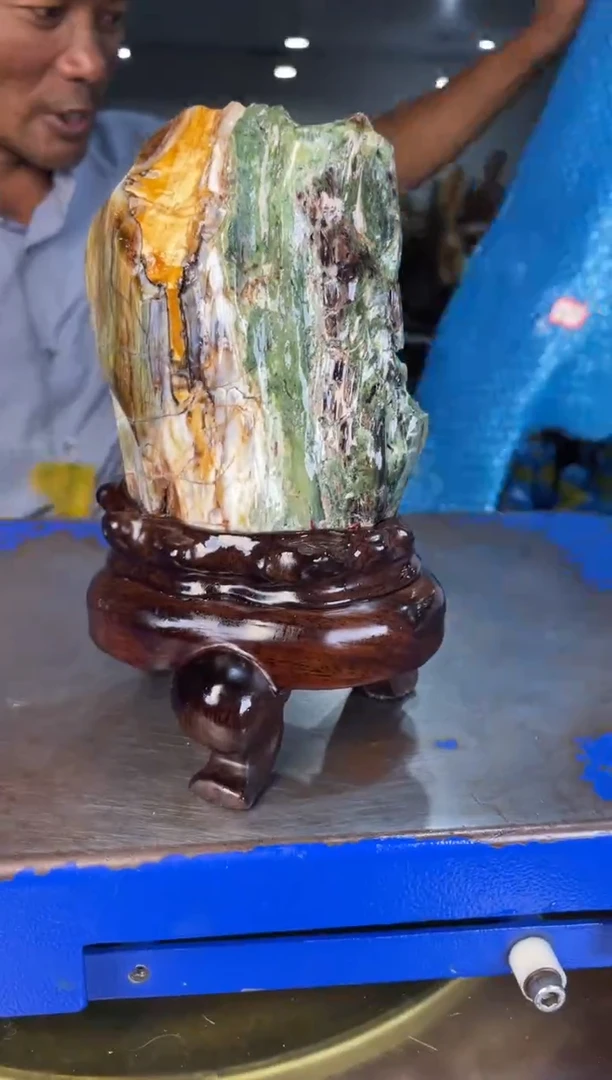 未镶嵌摆件硅化玉19
