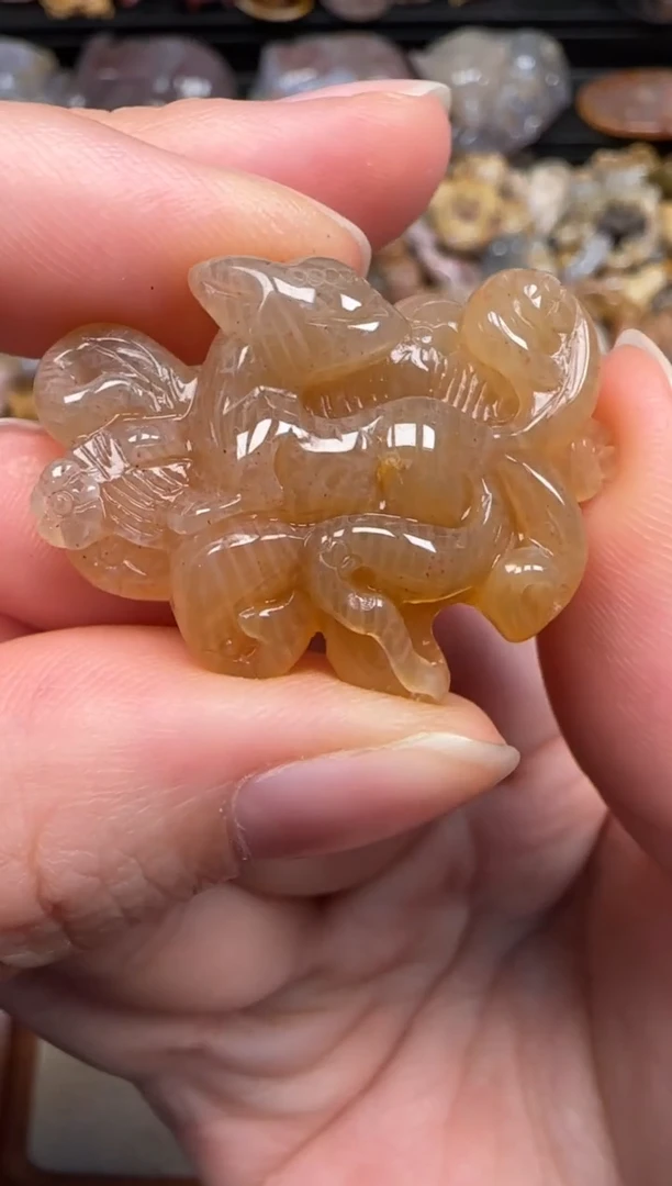 硅化珊瑚（珊瑚玉）未镶嵌颈饰342