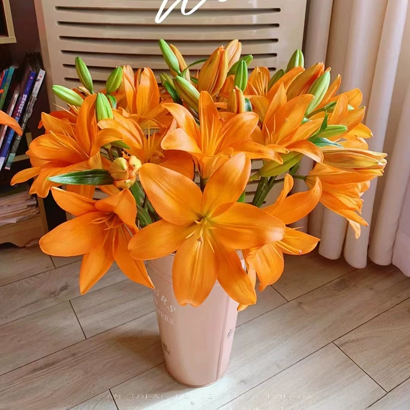 橙色梦想百合-6朵百合今天下单明天送达-香味浓郁花期优秀鲜花切花-鲜花批发直播次日达包邮