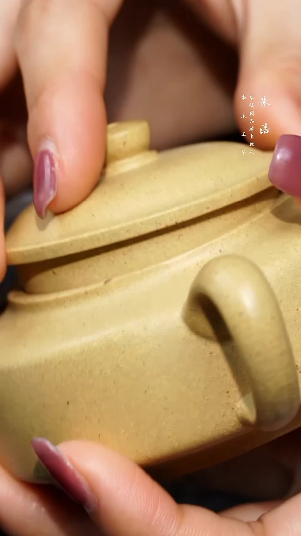 【闪购商品】紫砂茶壶0213早直播本绿周盘