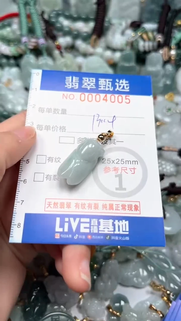 【闪购商品】翡翠颈饰未镶嵌00..4005