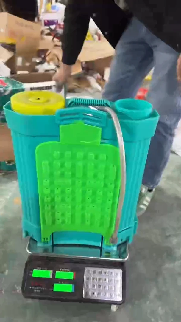 看清下单不退不换29