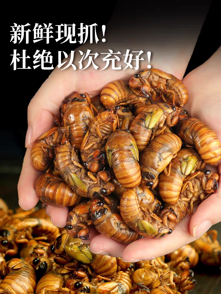 新鲜速冻知了猴爬叉猴金蝉