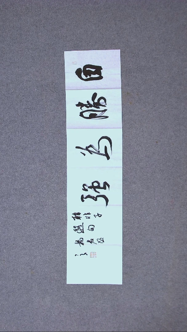 书法杨君 吉林 96*21（5）