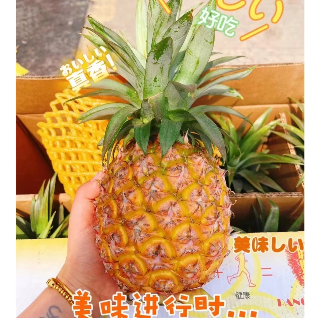 金钻凤梨，酸甜口，不涩嘴，香气浓郁，一个1斤半到1斤8两左右