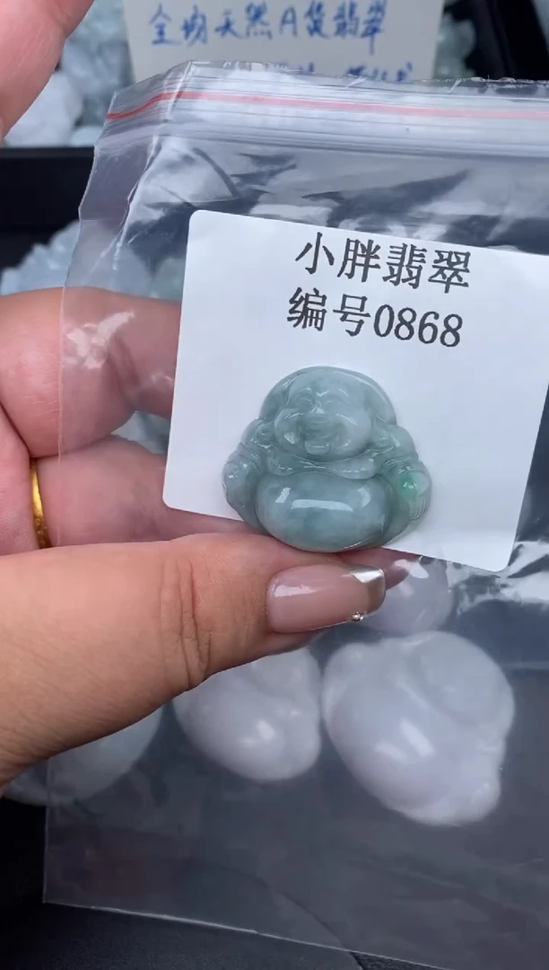 翡翠未镶嵌颈饰缅甸天然A货翡翠0868