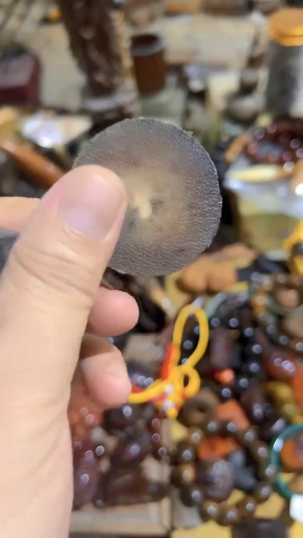 紫砂紫砂紫砂紫砂