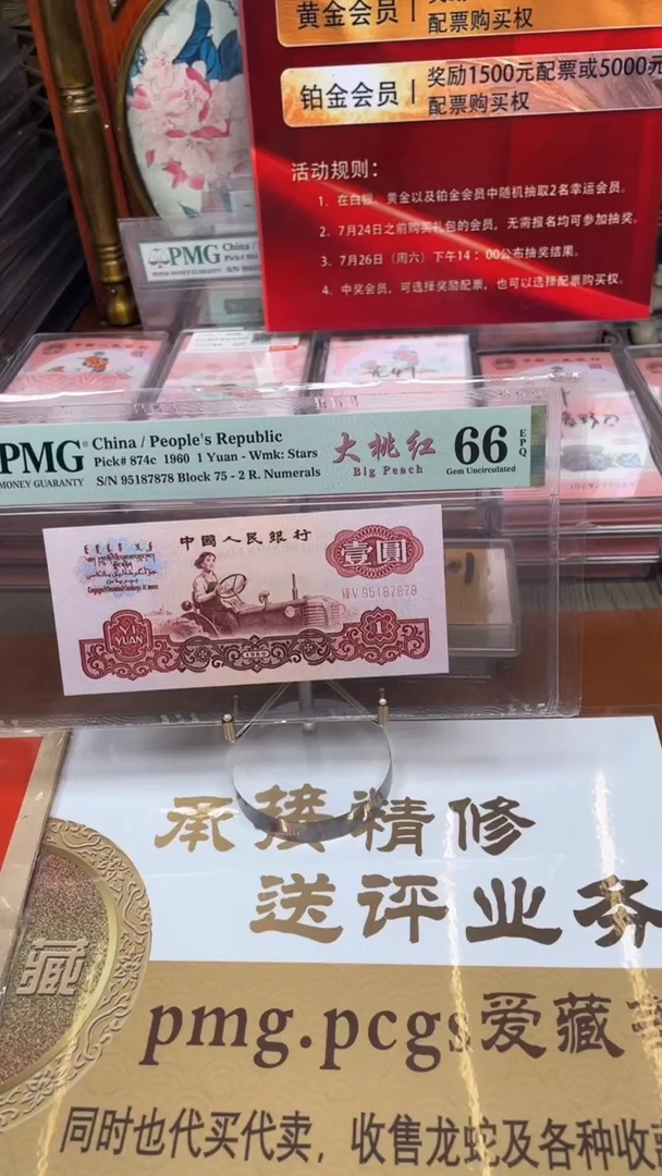 大桃红PMG95187878单张66分