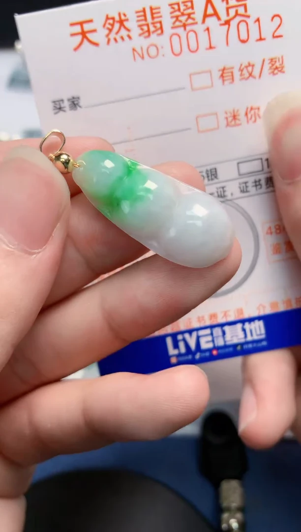 翡翠未镶嵌颈饰       1