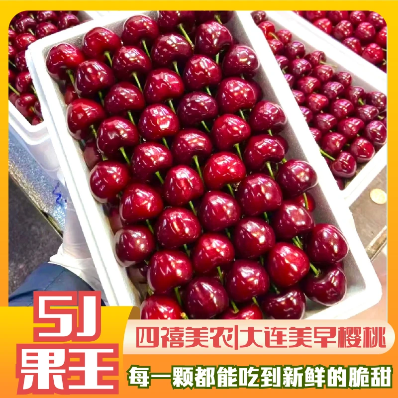 【顺丰包邮】大连樱桃车厘子空运美早J-5J/1.8斤