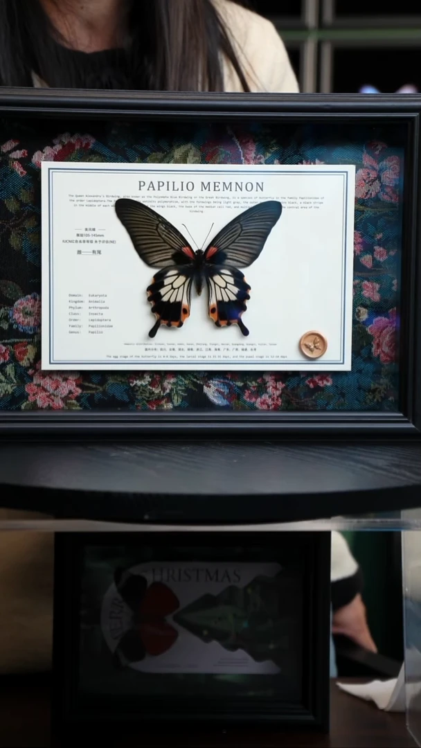 美凤蝶A4横框布艺款有尾