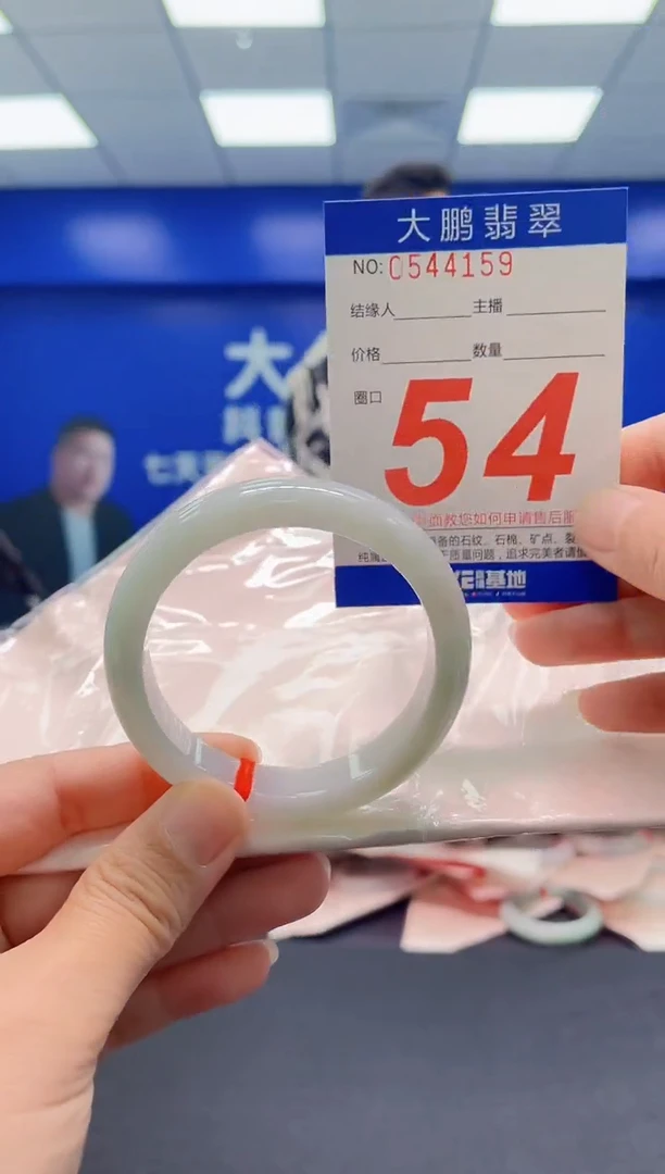 未镶嵌手镯翡翠AAAAAAAAA